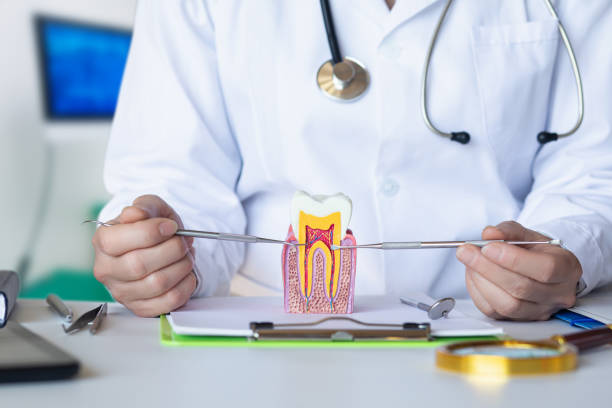Best Emergency Wisdom Teeth Removal in Marion, MS